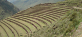 Complete visit of the site of Pisac on foot in 1/2 day